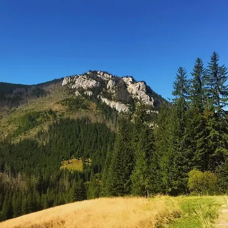Kirowy Gosciniec Kościelisko