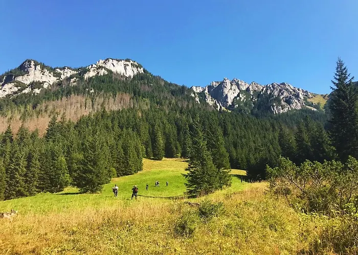 Kirowy Gosciniec Hotel Kościelisko
