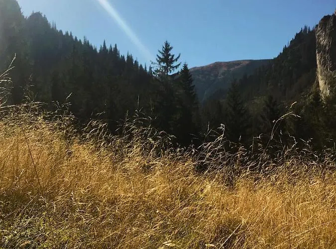 Kirowy Gosciniec Hotel