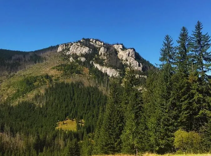 Kirowy Gosciniec Kościelisko